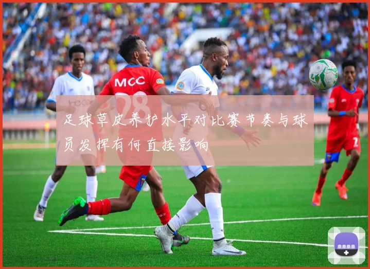 足球草皮养护水平对比赛节奏与球员发挥有何直接影响