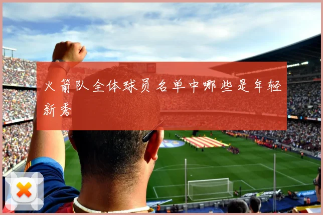火箭队全体球员名单中哪些是年轻新秀