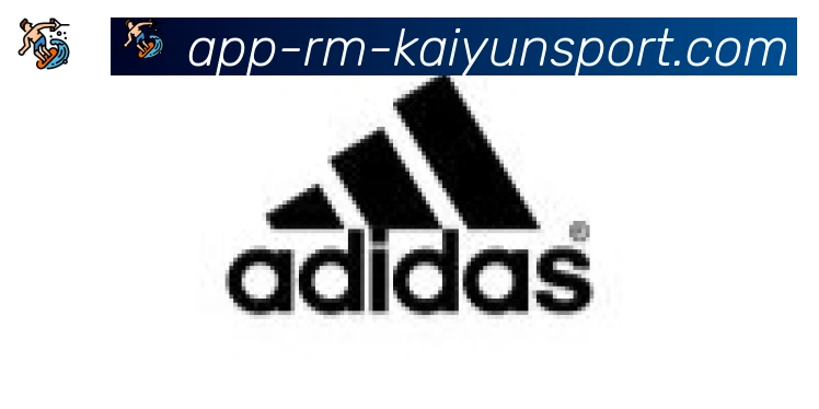 开云APP合作伙伴